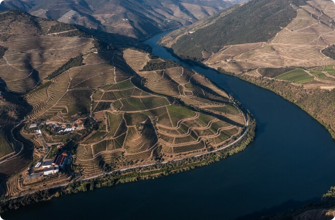 ALTO DOURO VINHATEIRO